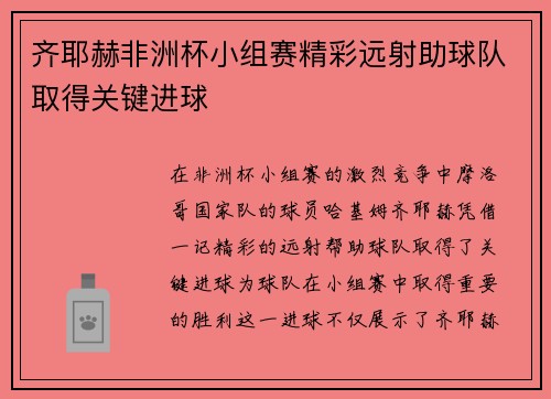 齐耶赫非洲杯小组赛精彩远射助球队取得关键进球